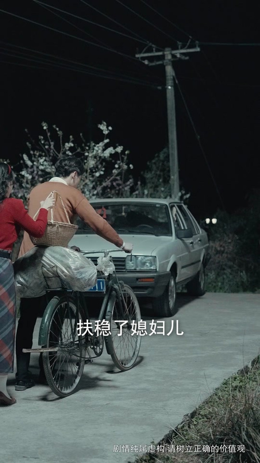 重生八零俏辣媳