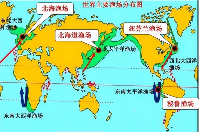 我国最大的渔场是哪个渔场
