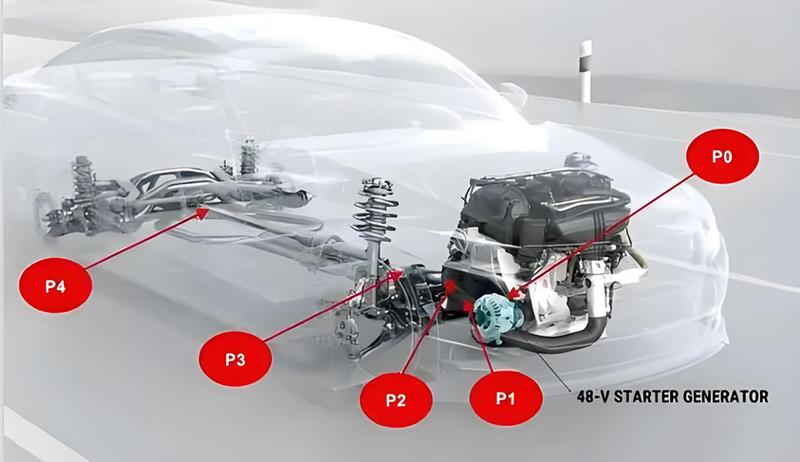 p2 p是什么意思