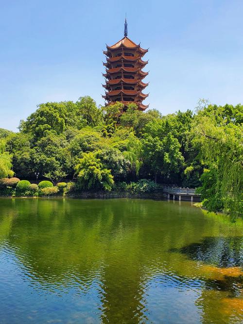 夏日公园1.3游戏截图