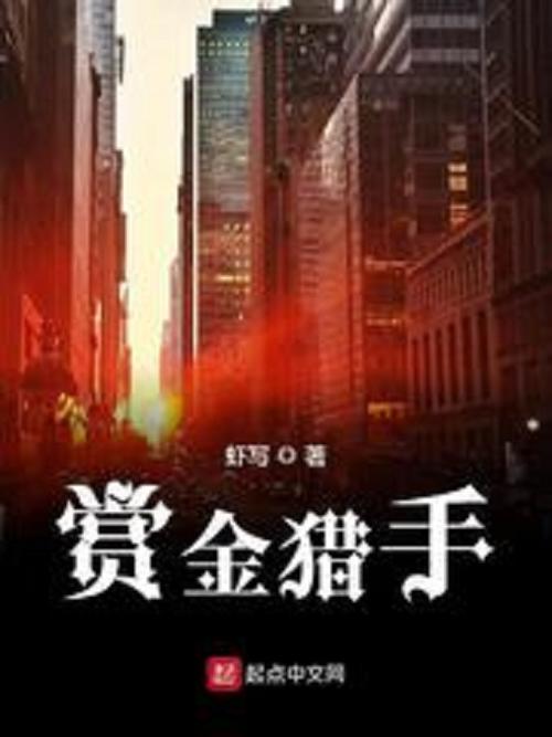 在美国当职业赏金猎人的小说