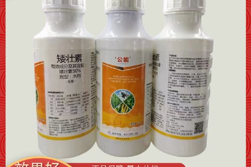 植物矮壮素的使用方法
