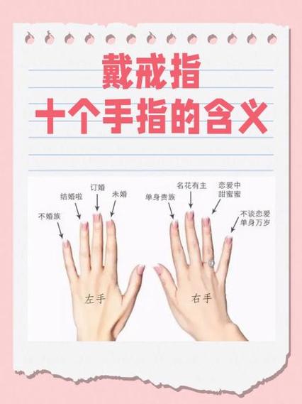 中指是哪个手指缩略图