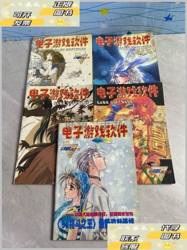 电子游戏软件