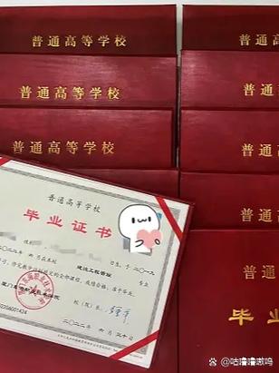 自由魂是哪个学校的