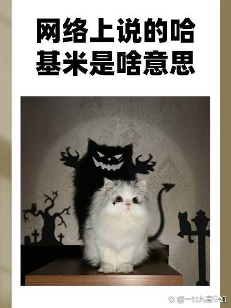 哈基米是什么网络梗