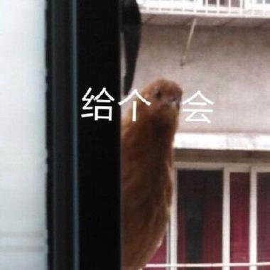 给个机会呗兄弟