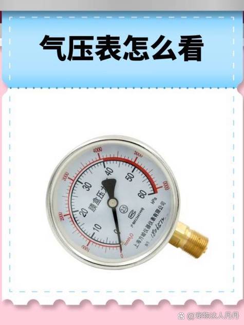 手机气压计app