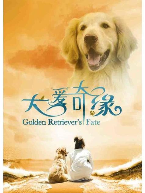 爱犬奇缘百度百科