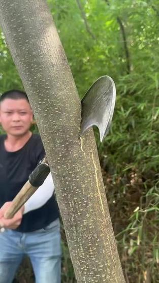 被柴刀是什么意思