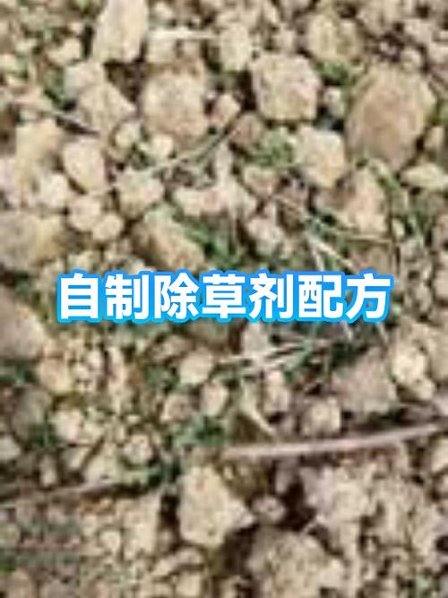 自制强力除草剂