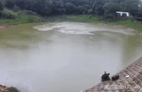 落水获得钓鱼系统