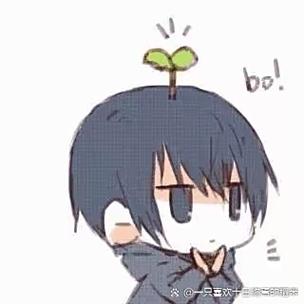 小哥表情包