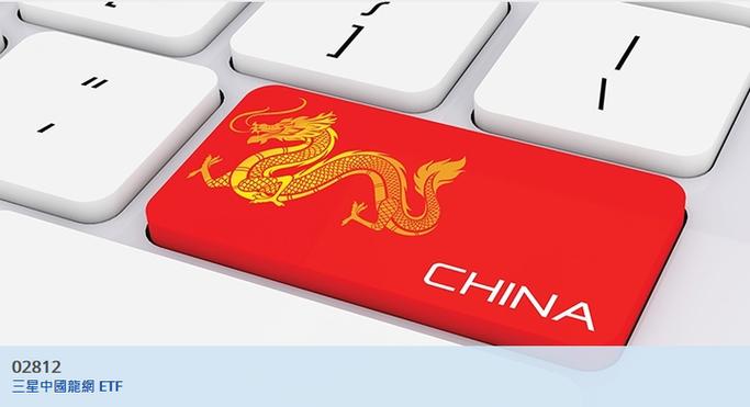 中国龙网