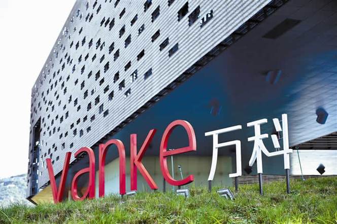 万科前身做什么的