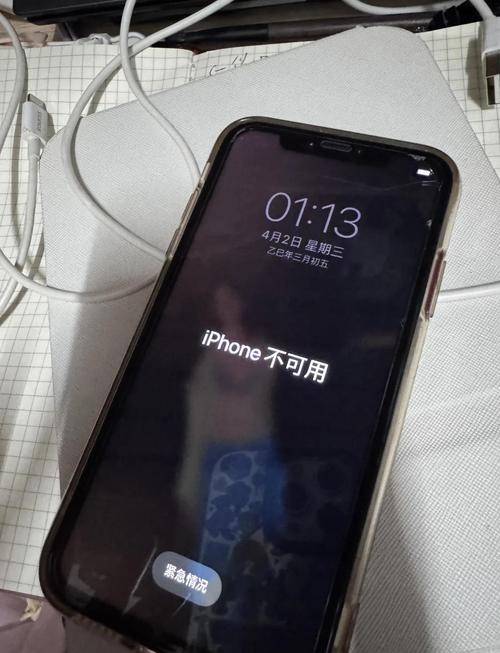 苹果手机后母键失灵