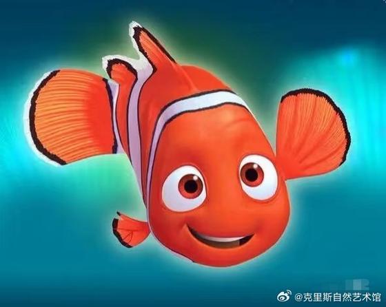 海底总动员里面的鱼叫什么