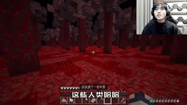 赫赫11解说我的世界