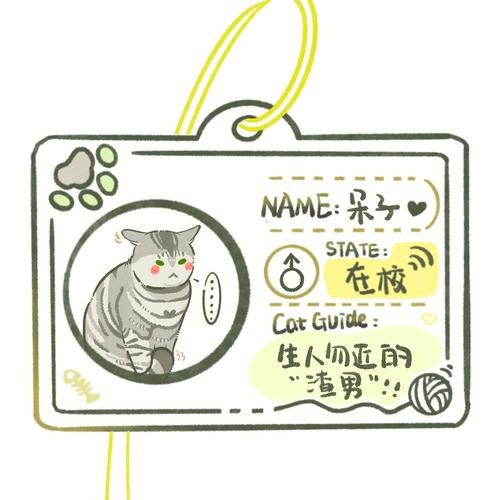 天猫超市卡在哪里绑定