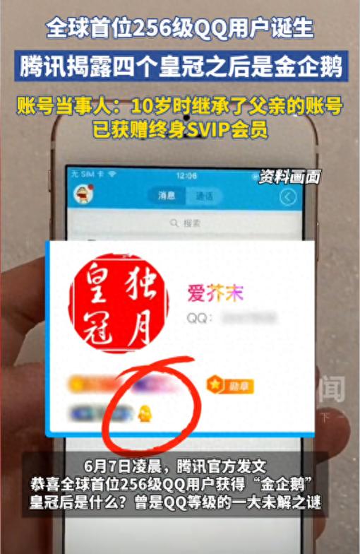 免费刷qqsvip网址