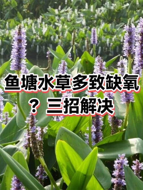 缺氧有什么方法可以解决