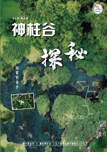 高德地图怎样保存已走路线图标
