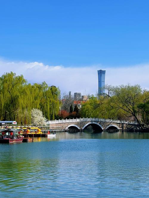好看的背景墙图片 全景图