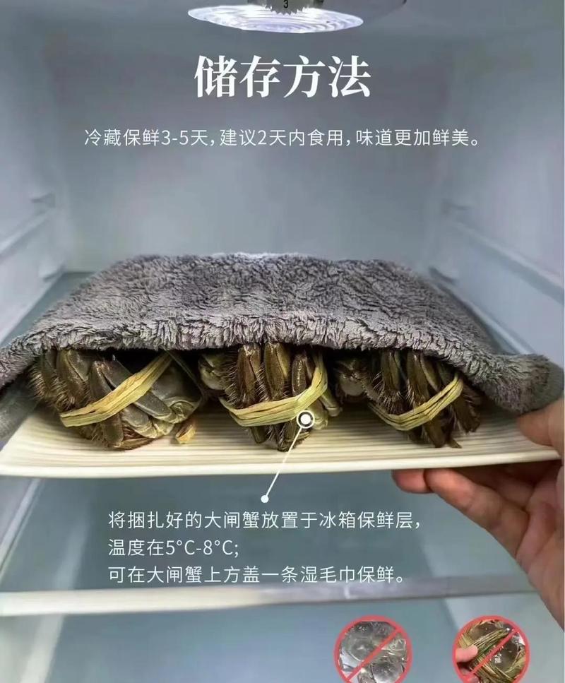 活螃蟹怎么保管时间长