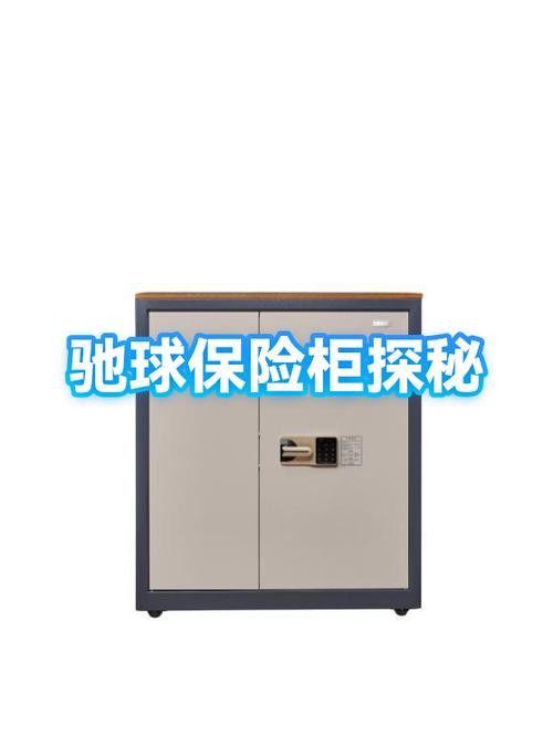 驰球保险柜截图