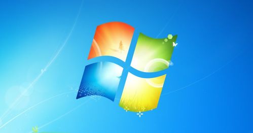 window10锁屏壁纸自动更换缩略图