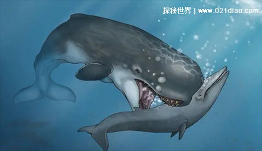 巨齿鲨vs虎鲸谁更强