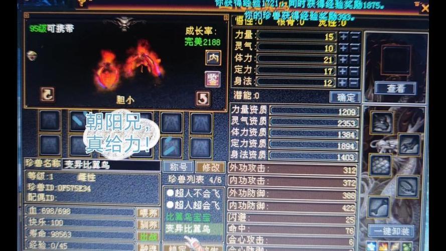 天龙八部95级宝宝成长率杰出缩略图