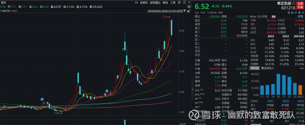 君正集团股票还能涨吗