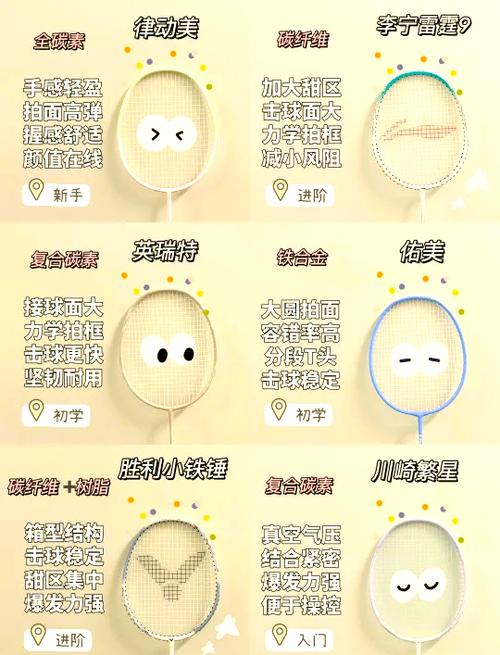 什么品牌的羽毛球拍好