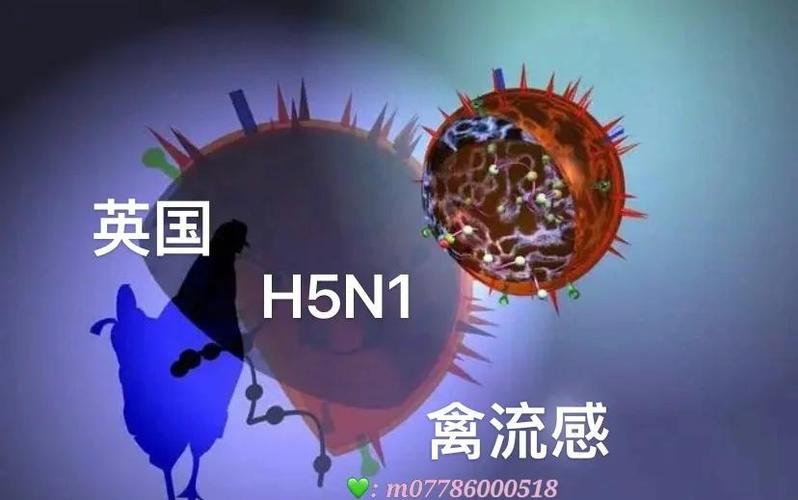cs病毒爆发怎么过