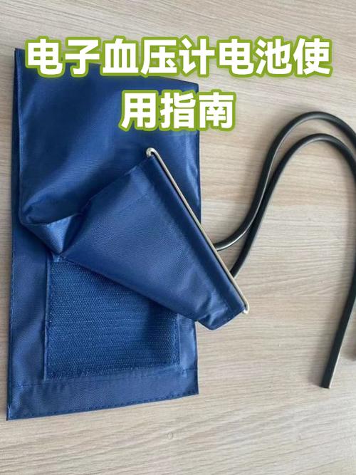 电子血压计用电池准还是插电准