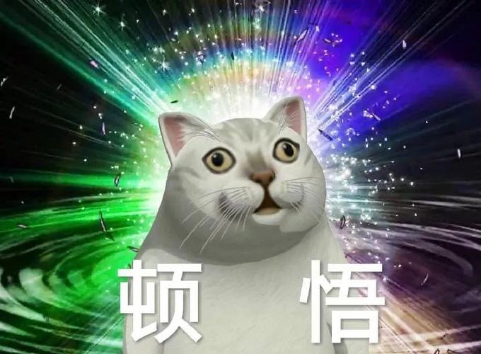 微信最近很火的表情包