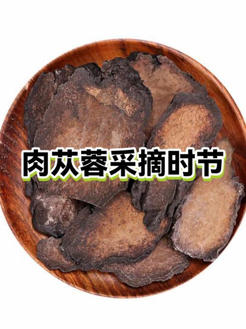白帝学园苁蓉灌肠最忌三种水果