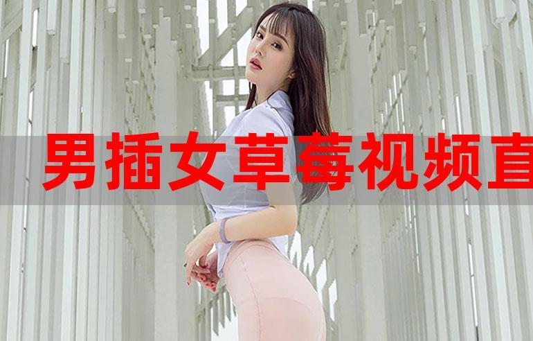 宅男盒子2019在线观看