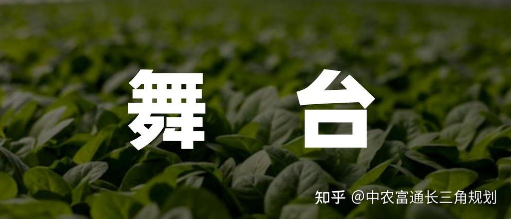 拼多多种菜换实物怎么没有了