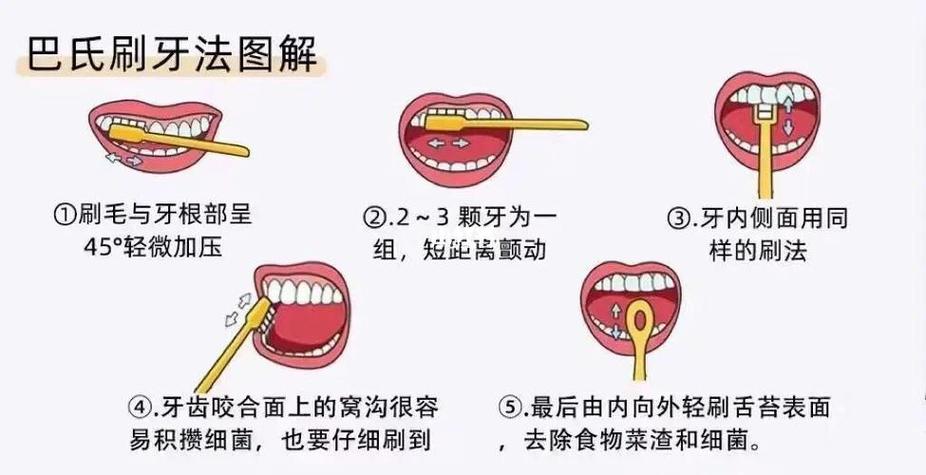 正确刷牙齿的方法视频教程