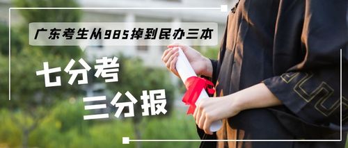 七分报三分考