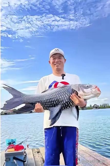 钓鱼赚钱软件