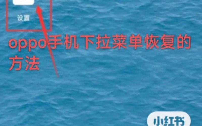 oppo手机下拉菜单怎么设置应用