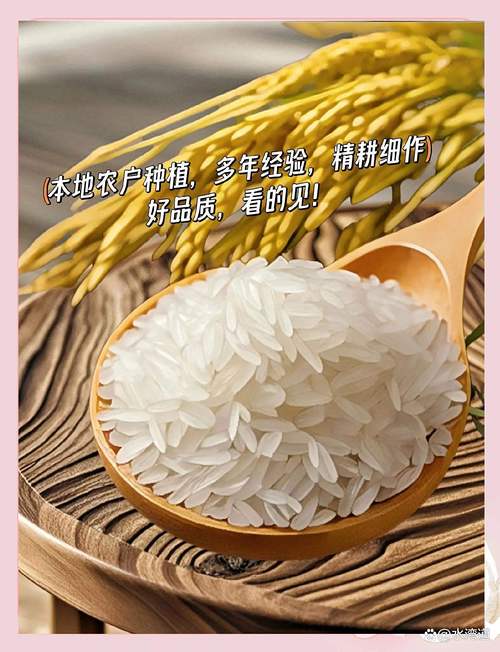 大米贷款官网