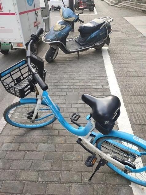 哈罗出行维什么车还没来让先点确认