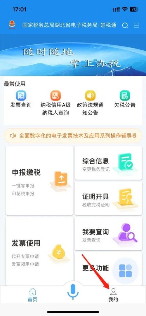湖北楚税通app