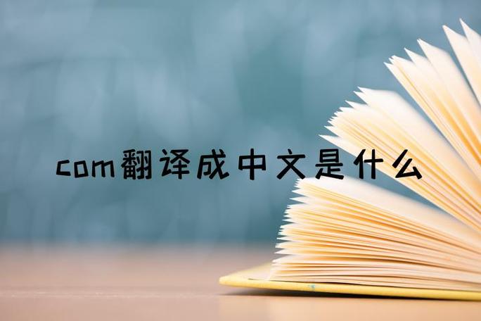 fans翻译成中文