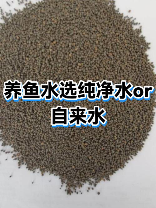 养鱼用净化水好还是自来水缩略图