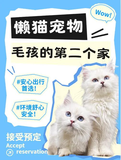 懒猫吧安全吗